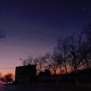 美国色情免费网站
