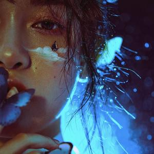 美国色情免费网站
