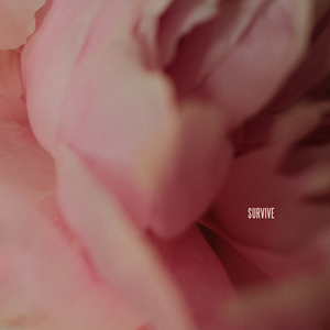 美国色情免费网站
